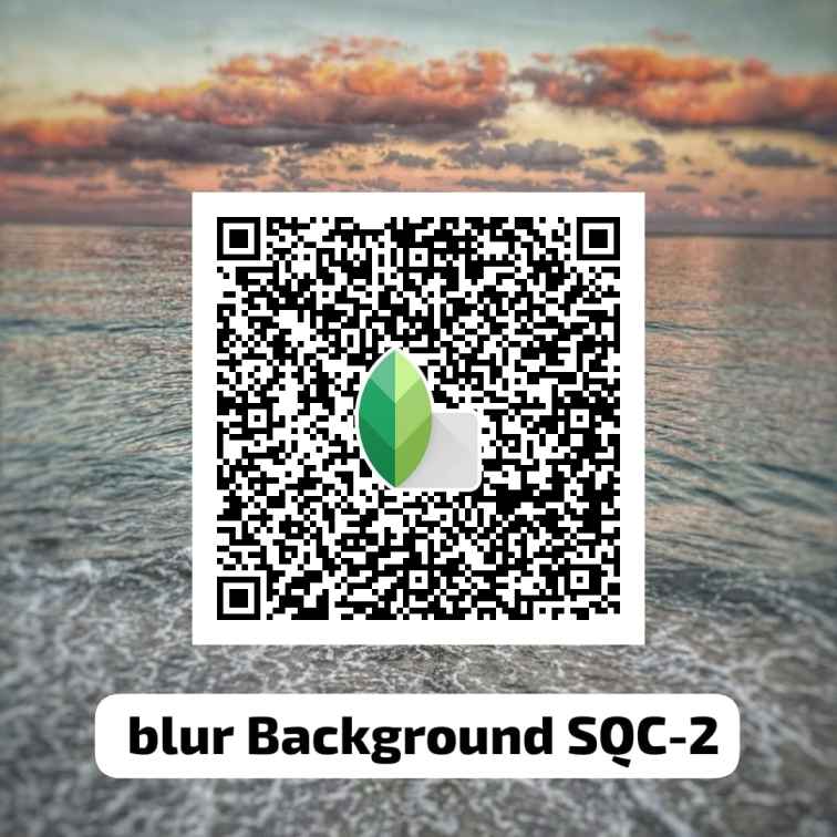 Blurred Backgrounds snapseed qr code